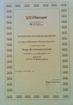 Stage sulla comunicazione 