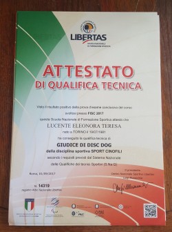 Giudice Disc Dog Libertas