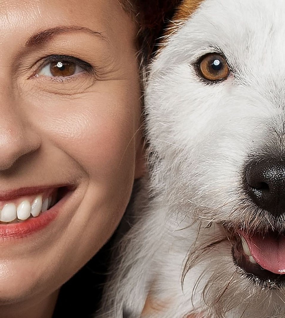 La mia passione per i cani