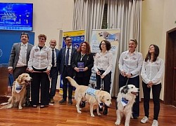 Un grande Team