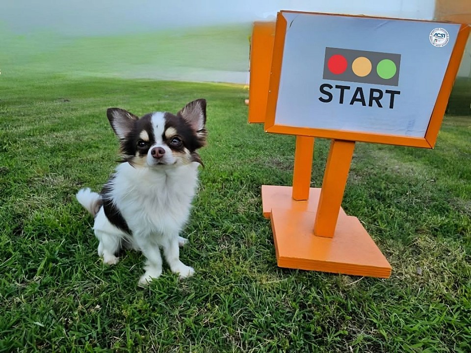 RALLY- O attività adatta a tutti