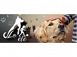 LA ELE - Eleonora Lucente